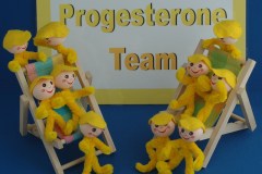 Progesterone-Team-1