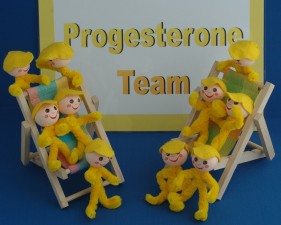 Progesterone-Team-1